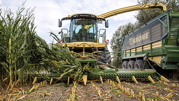 KRONE Big X-felthakker i arbeid med å høste mais, med gul og svart fargekombinasjon og utlastingsrør som laster hakket materiale over i en grønn tilhenger med KRONE-logo.