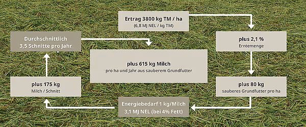 krone-swadro-sts-tabs-31