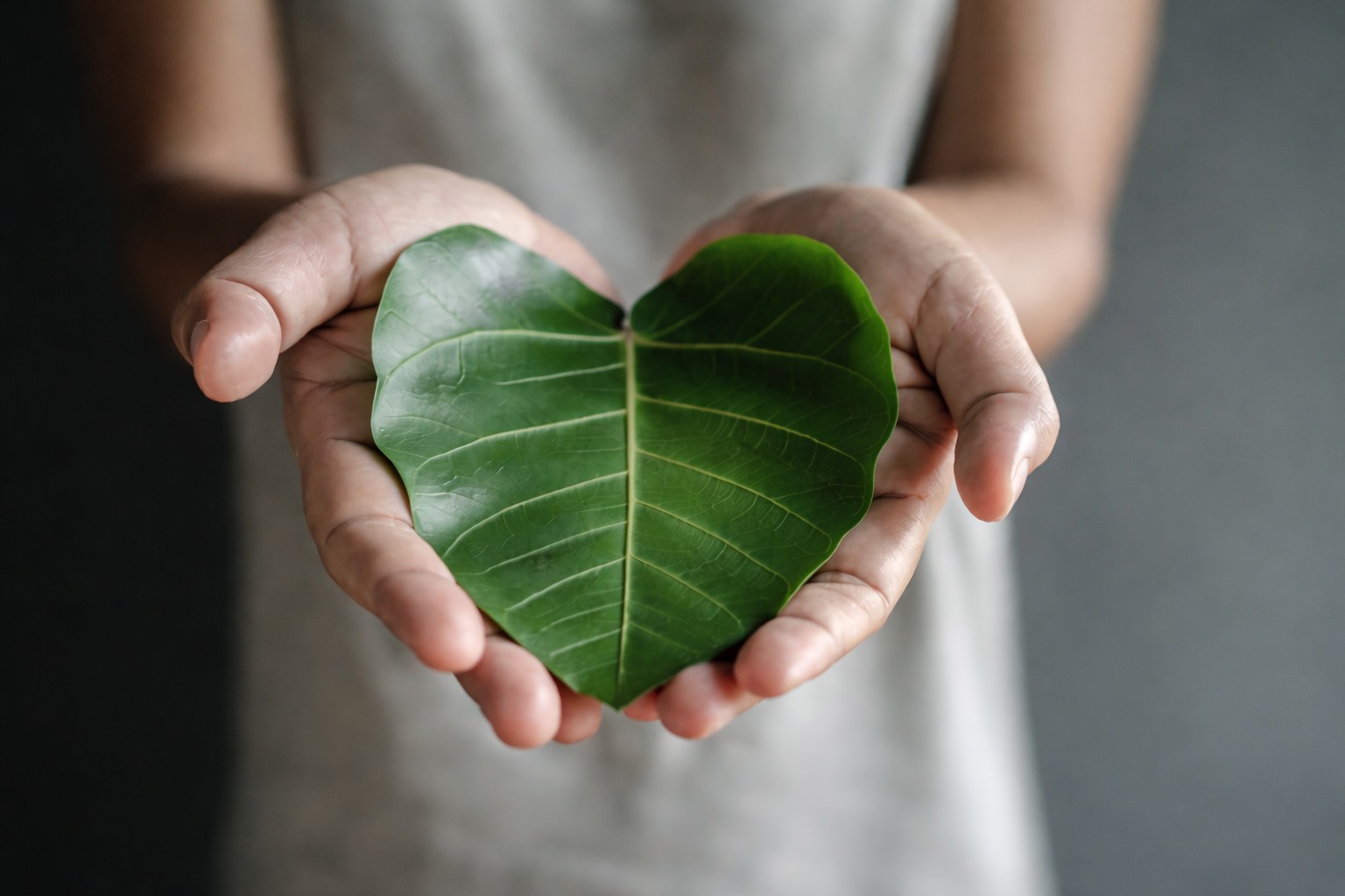 Hender som holder et grønt, hjerteformet blad mot en myk, nøytral bakgrunn – et symbol på omtanke, bærekraft og miljøansvar.