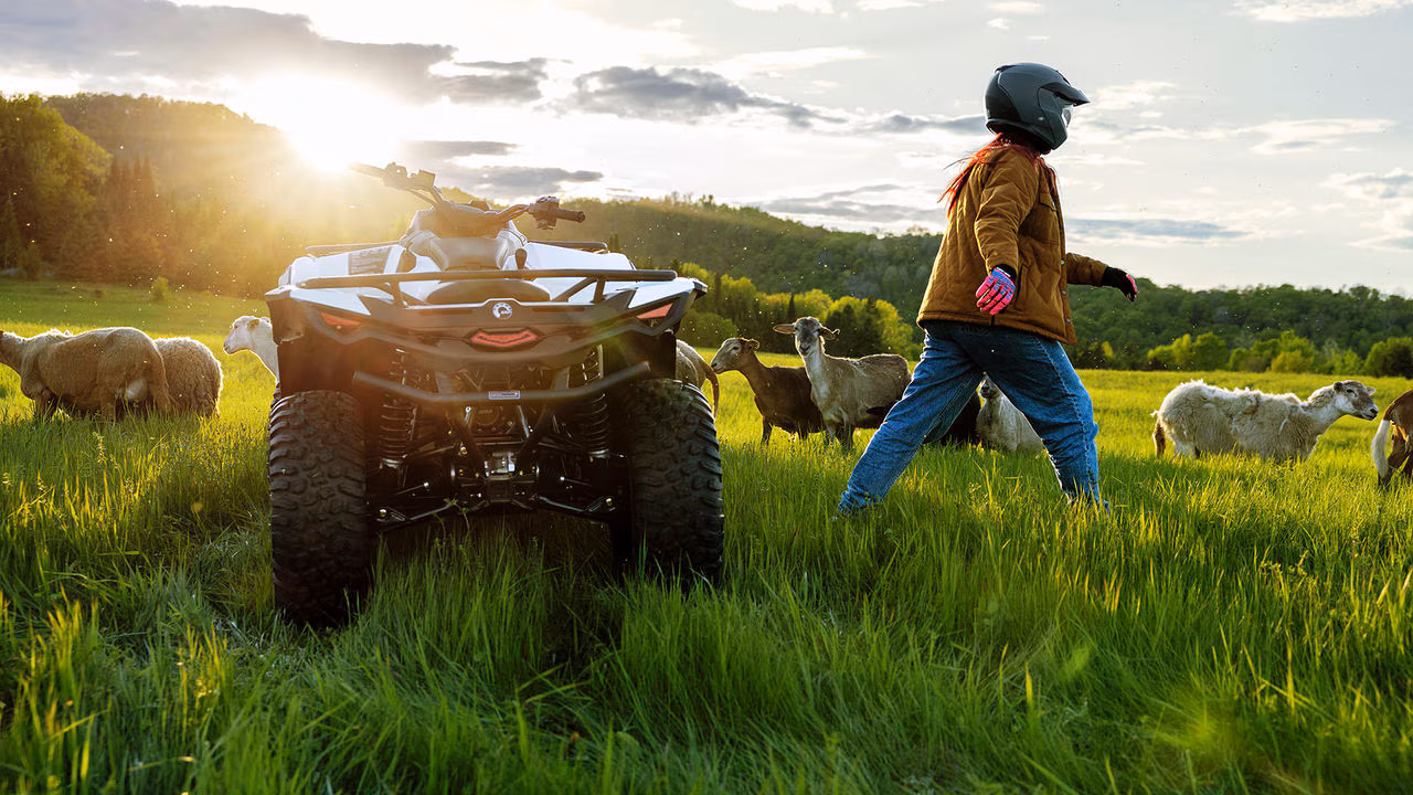 En fører ved sin Can-Am Outlander Electric ATV i gresset ved siden av flere sauer.